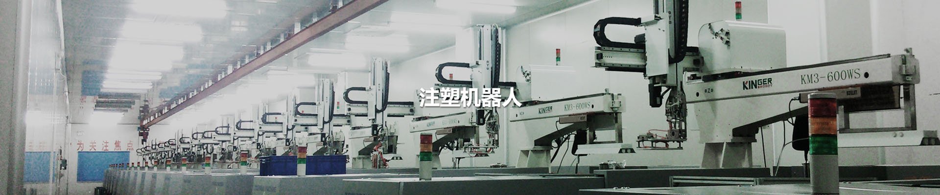 �Ϲ�NG��28(�й���)����Ʒ���������޹�˾